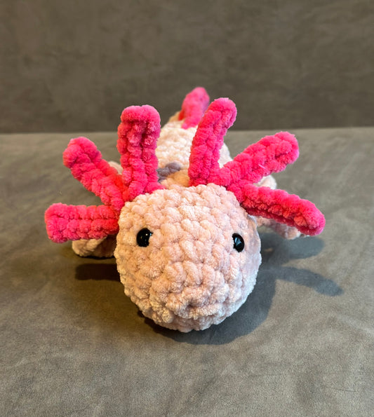 Axolotl